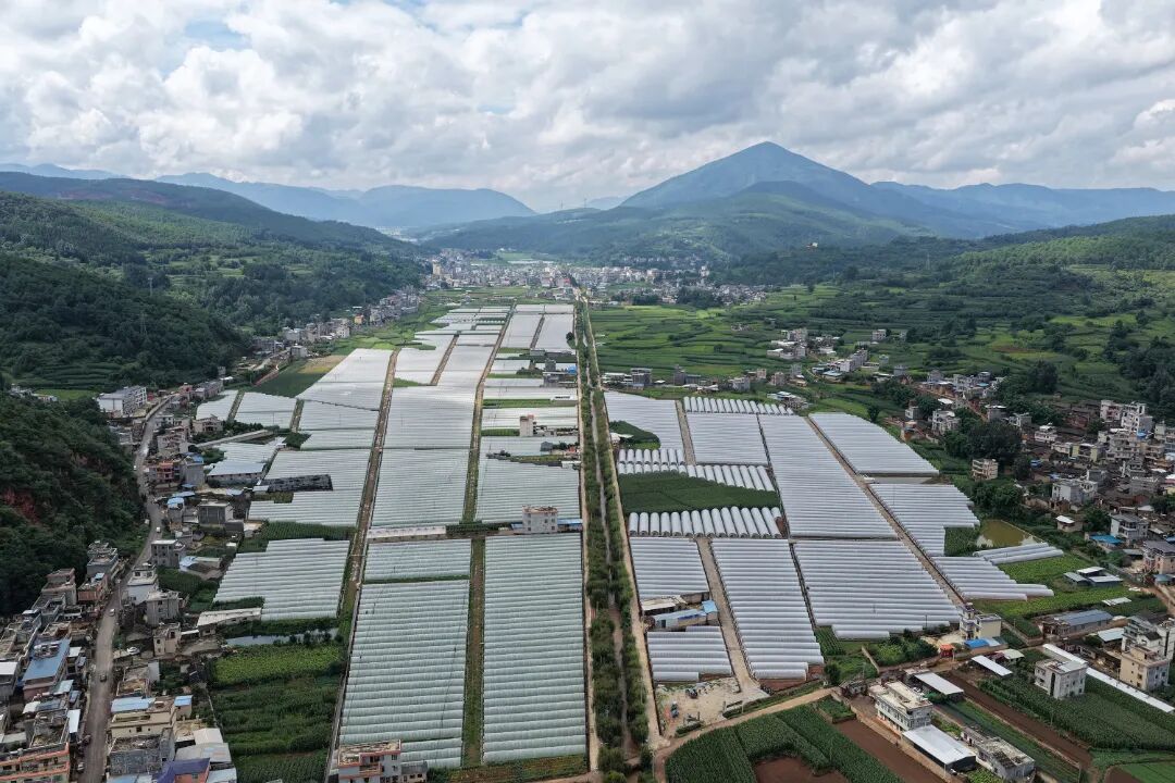 DJI_20250825104547_0004_D_WZP.JPG