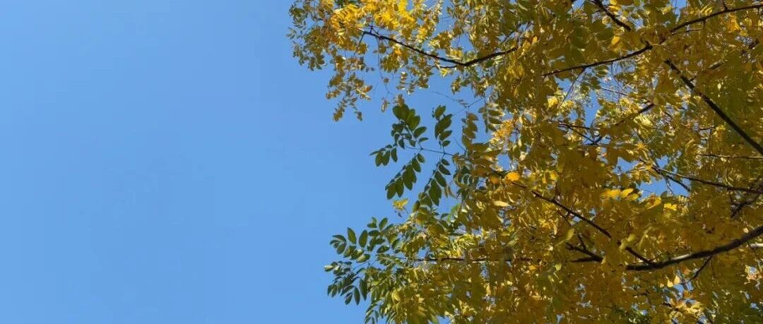 记一次突然到来的月经