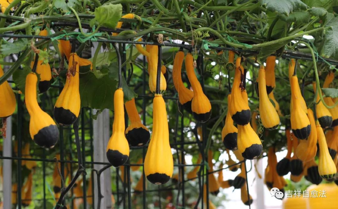 阳气不足的人，大多会有三大表现，得细心观察了！