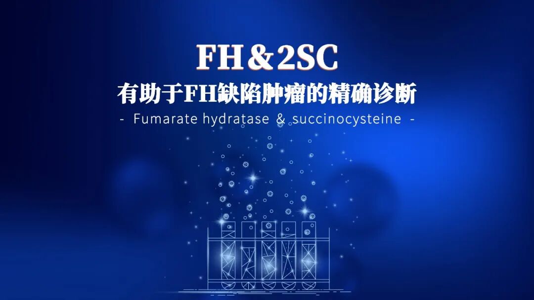 fh染色是什么意思抗体上新 ／／ FH和2SC有助于FH缺陷肿瘤的精确诊断_https://www.jmylbn.com_新闻资讯_第2张