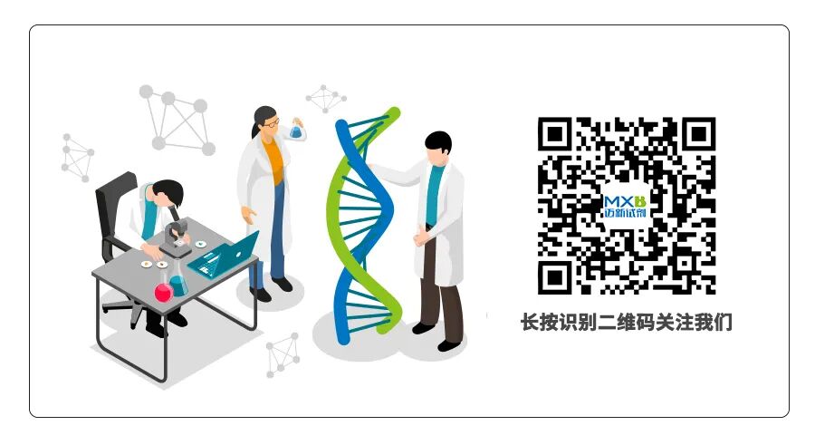fh染色是什么意思FH缺陷型肾细胞癌的临床鉴别_https://www.jmylbn.com_新闻资讯_第5张