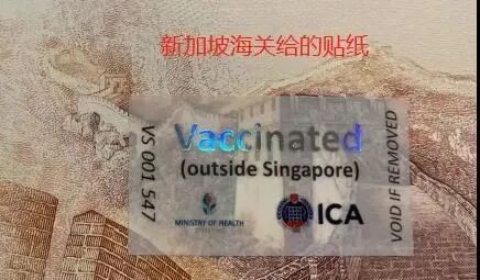 12月，新加坡最新入境指南！