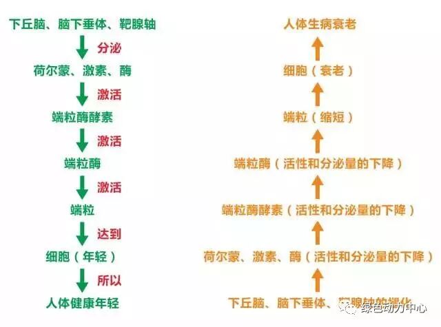 绿色动力-产品简介