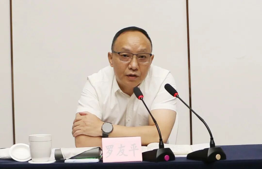 四川省经济发展促进会调研组赴阆中市调研座谈(图2)