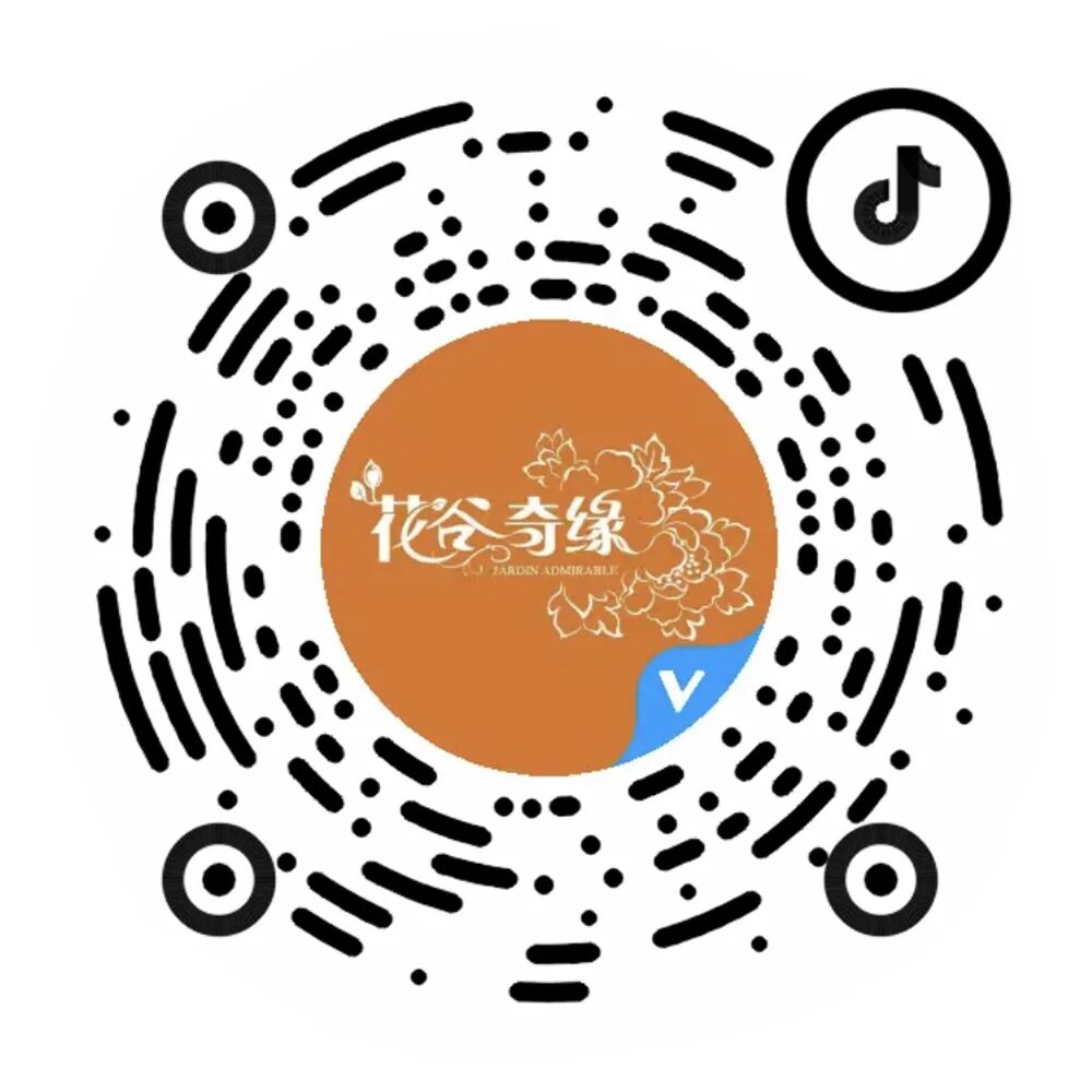 红叶李是常绿还是落叶_落叶红是什么_落叶红什么意思