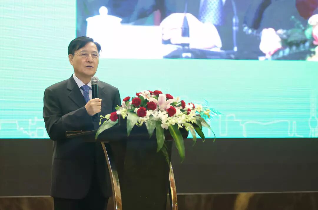 新能源汽車產業峰會在上海舉行 中國市場·世界機遇