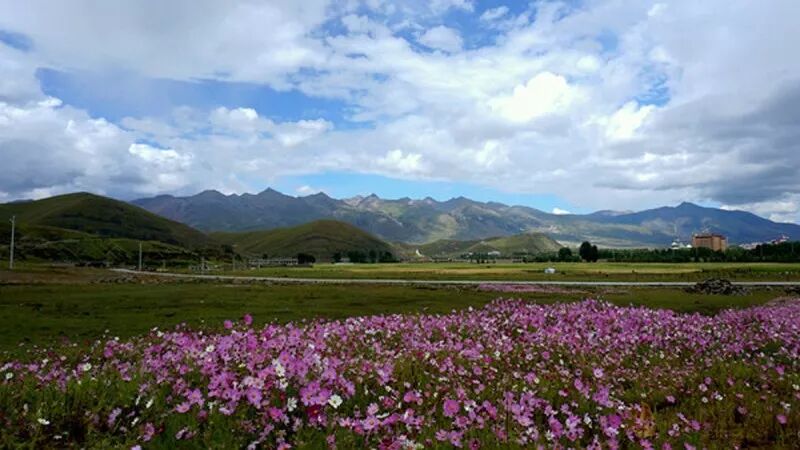 这场时光穿越之旅为你而定