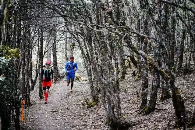 2018龙腾亚丁天空跑 | 确认过眼神，你就是龙腾亚丁最酷的人！-图片5