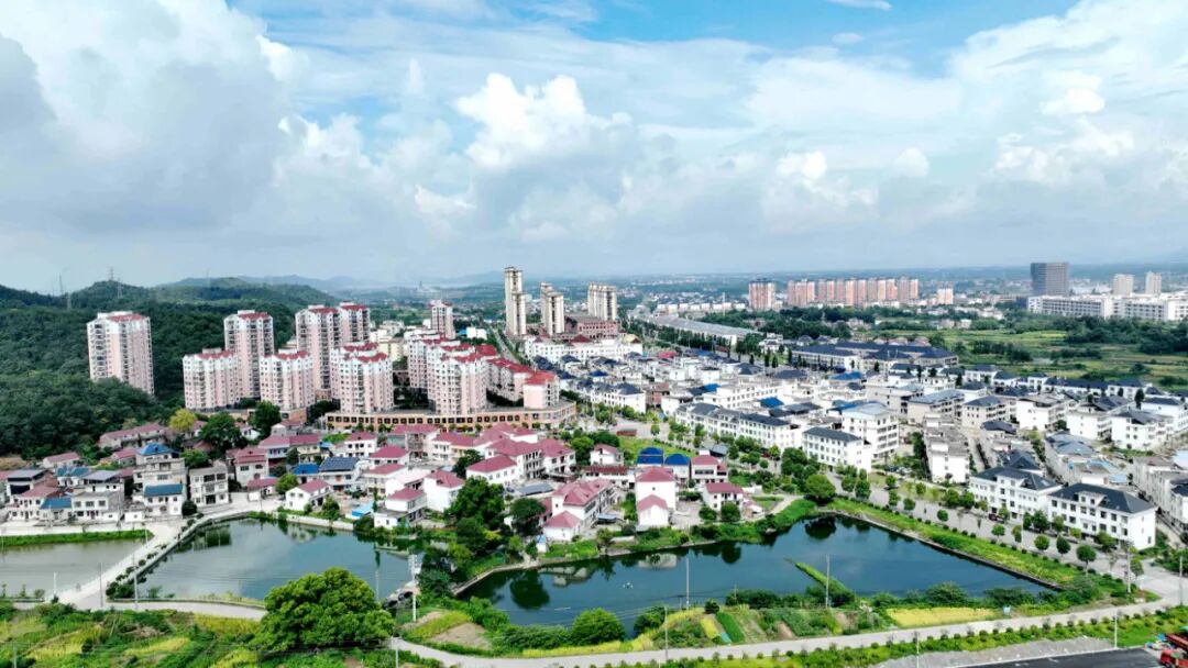 以"第一等次"的要求大抓落实 | 马影镇 - 湖口县人民政府