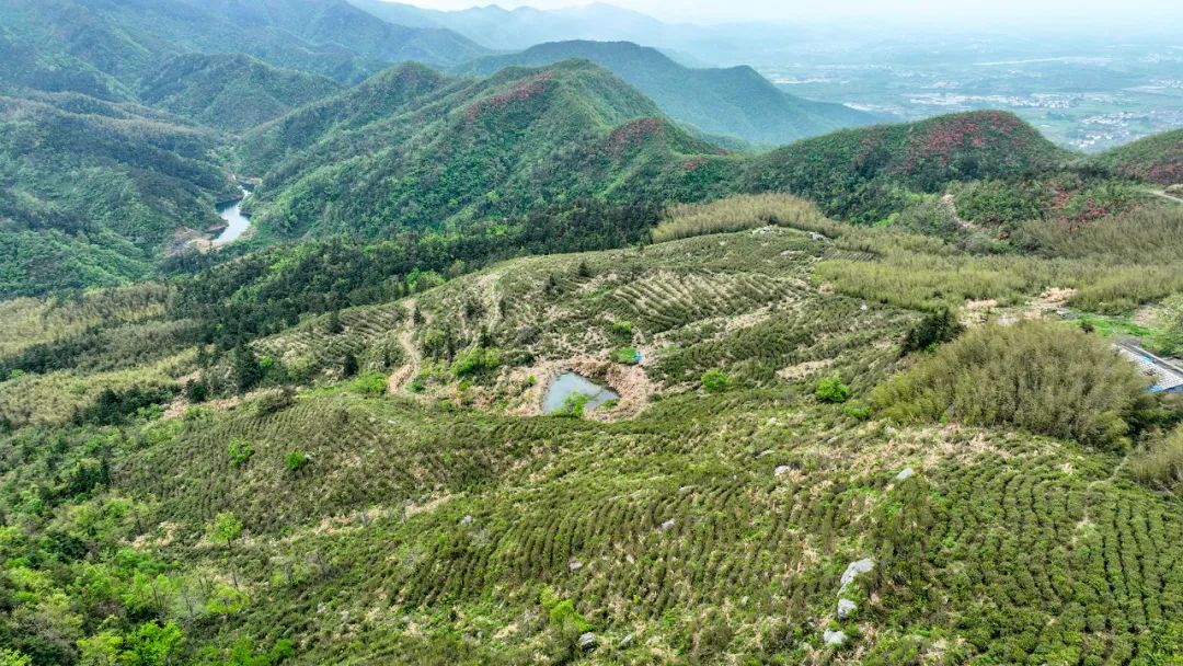 湖口武山镇天山风景区图片