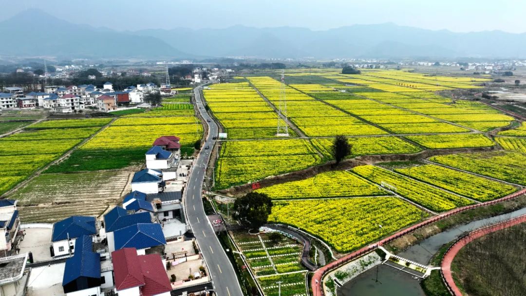 湖口武山镇天山风景区图片