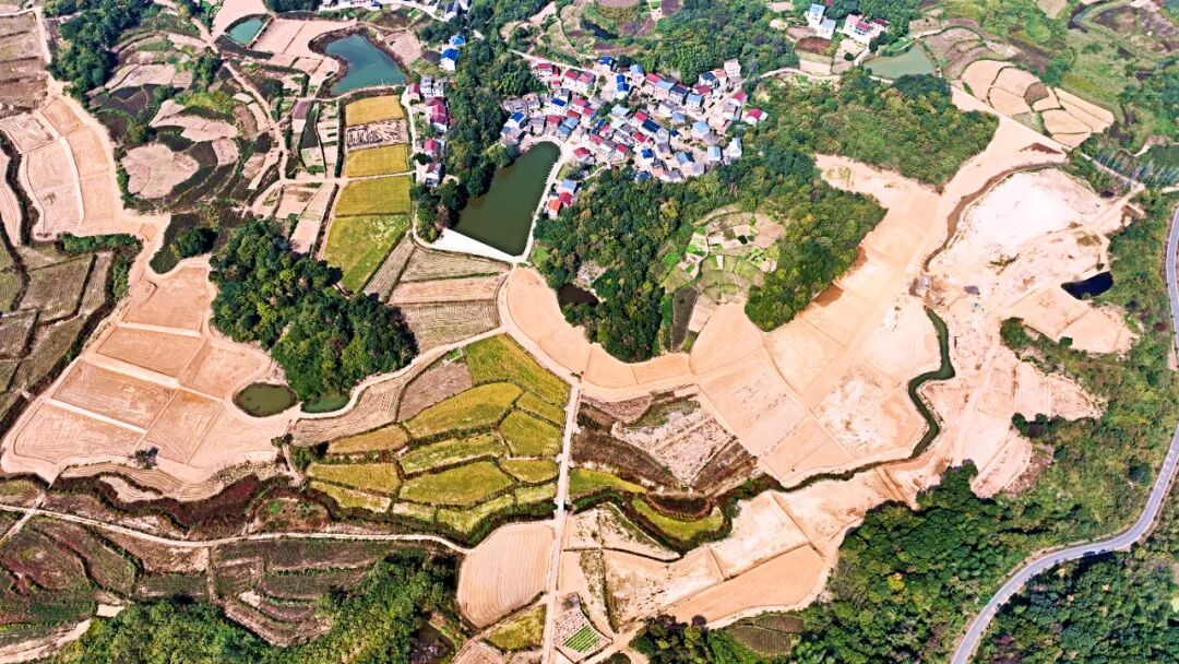 乡村振兴 | 湖口流芳乡:推进"旱改水" 增产又增收