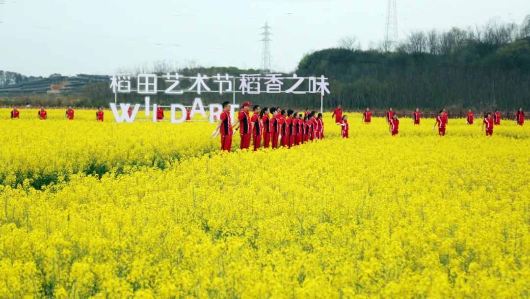 油菜花节主题活动图片