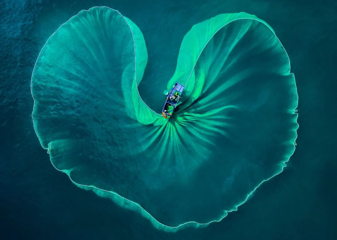 审美提升这些作品获得了ipa国际摄影比赛大奖画面震撼人心