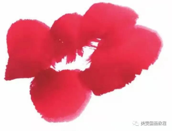 山茶花 中國熱點