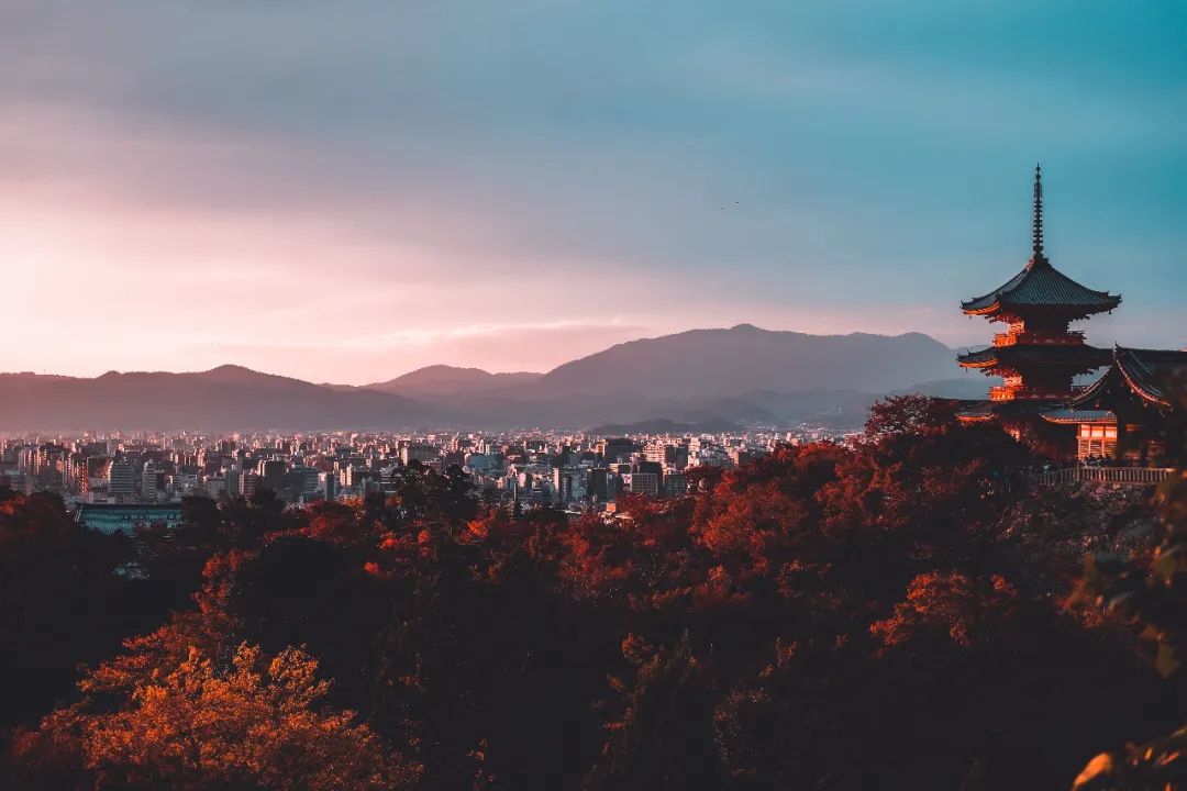 学长带你看日本东北大学 更有你不知道的鲁迅在日翘课史 芥末日本留学 二十次幂