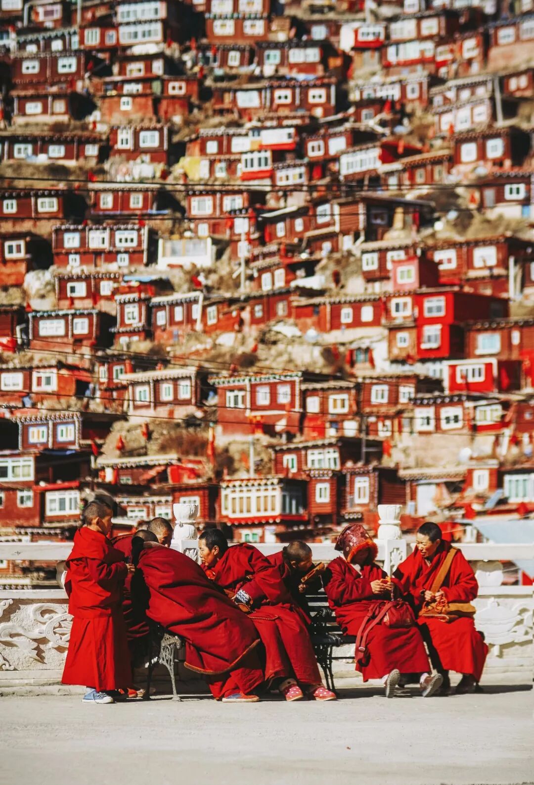 图片