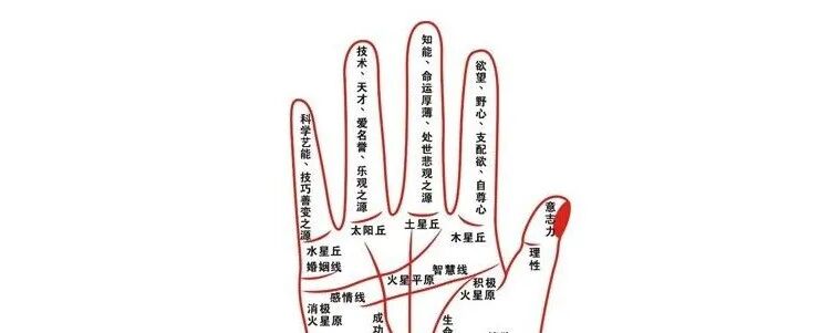 手掌中的九种桃花纹，可以自查