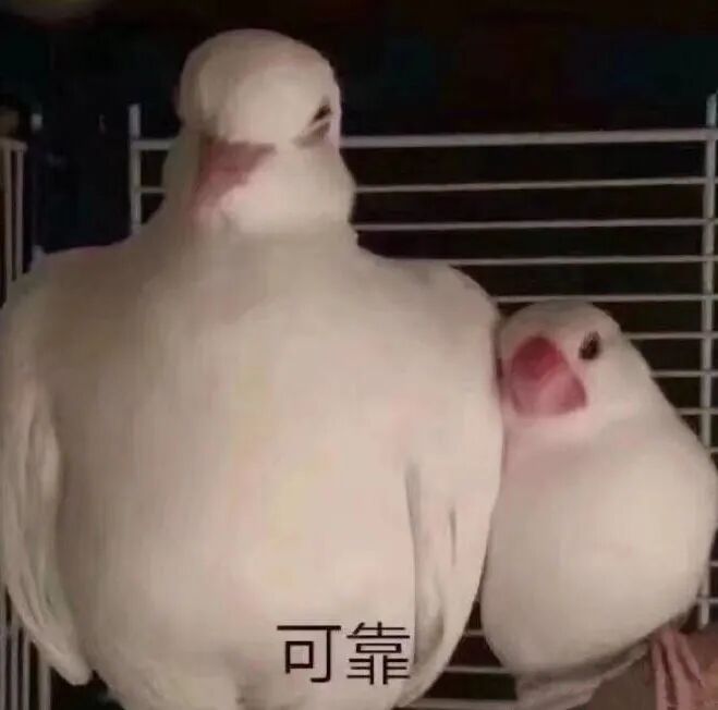 亚马逊新品词海广告 冷启动到盈利全攻略 手把手教会你！美国