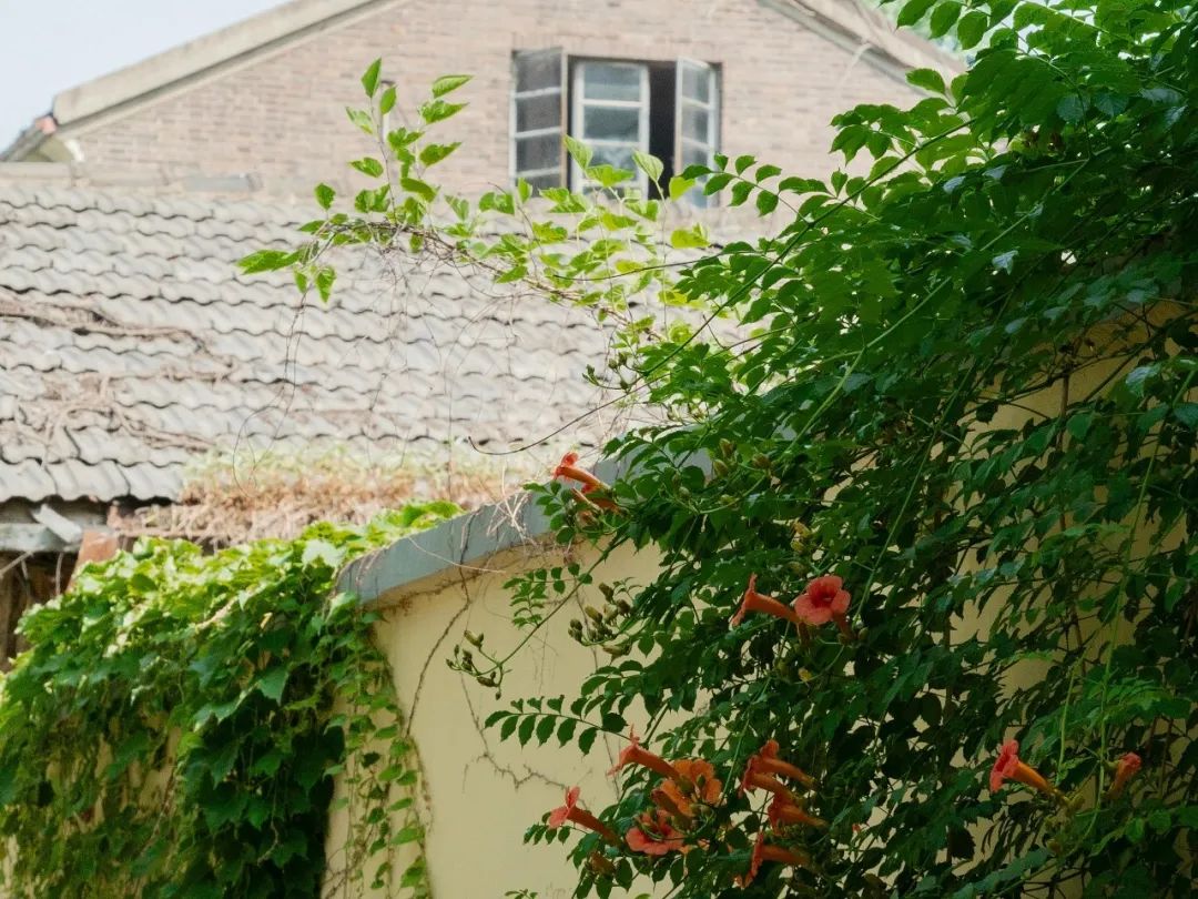 最舒服的关系，永远是这三句话