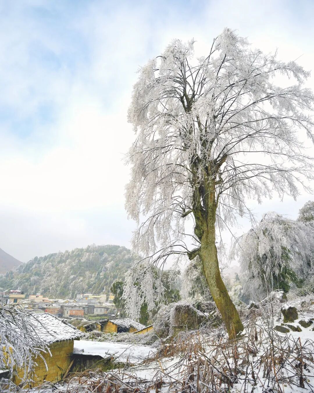 《冰封山村》邓素玲 摄