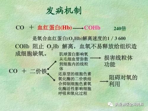 动物怎么测血氧第五篇 动物病理学（七）-- --缺氧_https://www.jmylbn.com_新闻资讯_第4张