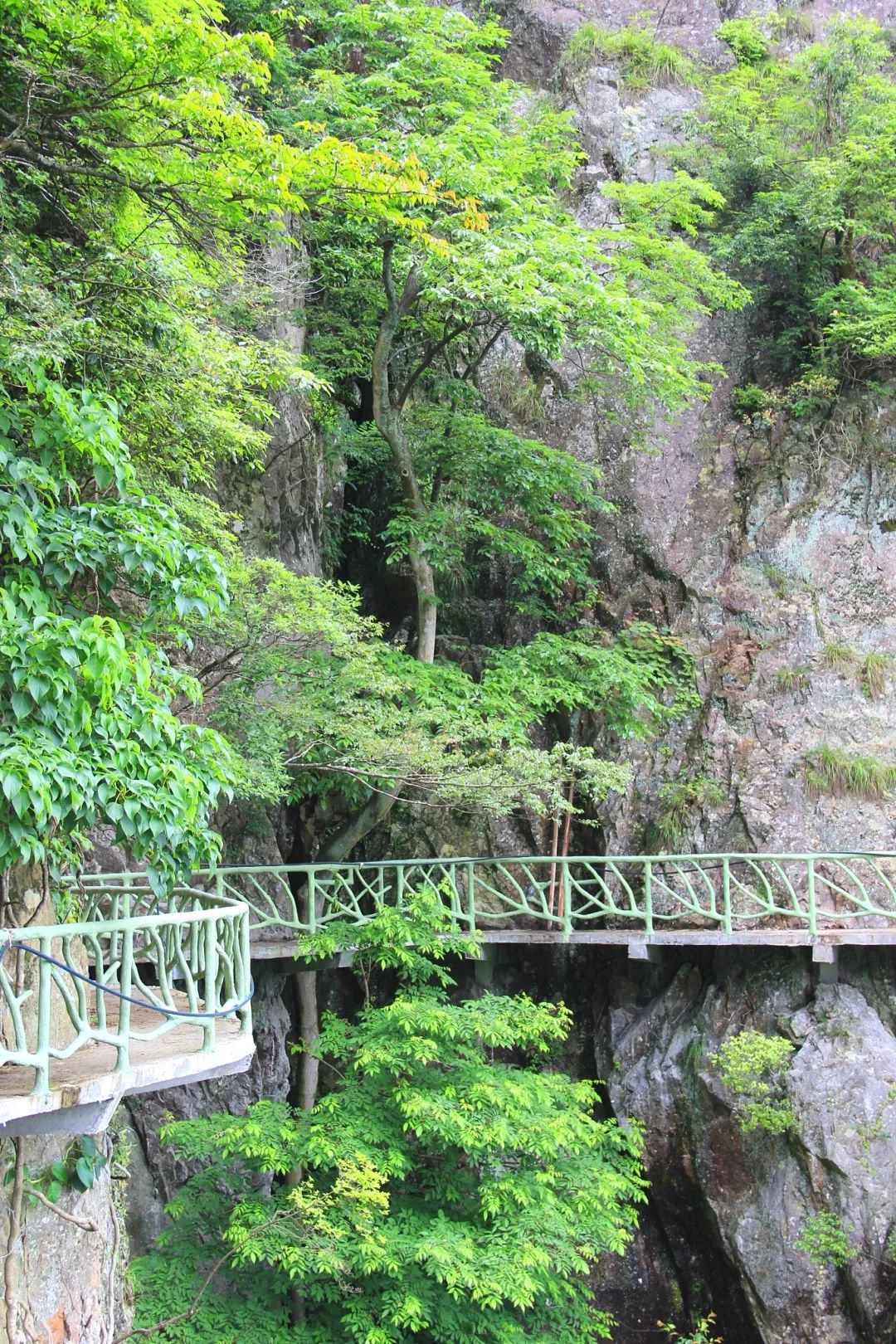 【盛行】步步驚心步步高——在靈江源鳥瞰不一樣的空中美景 戲劇 第7張