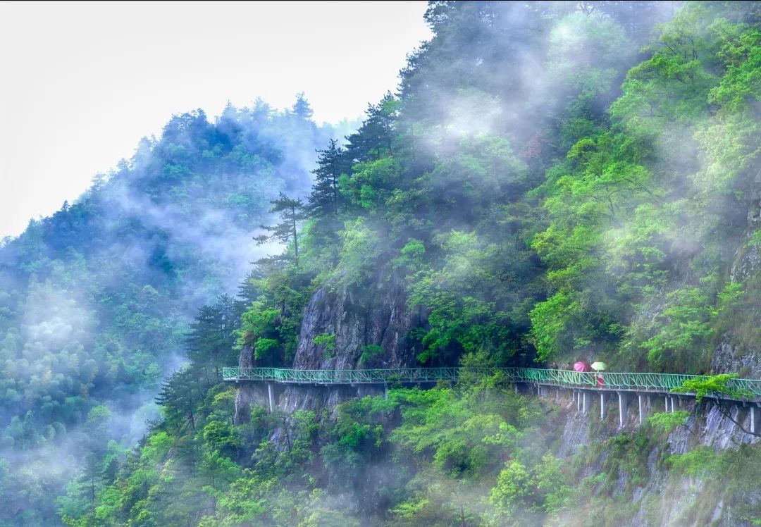 【盛行】步步驚心步步高——在靈江源鳥瞰不一樣的空中美景 戲劇 第2張