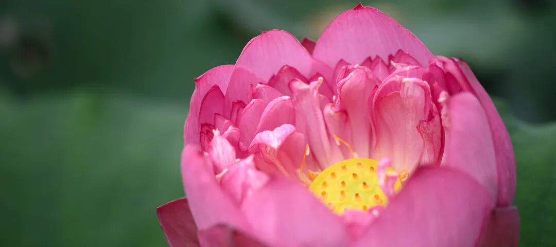 广西大学研究生管理系统官网_广西大学研究生管理_广西大学研究生管理系统