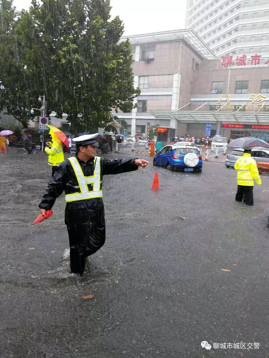 莘县柿子元天气预报