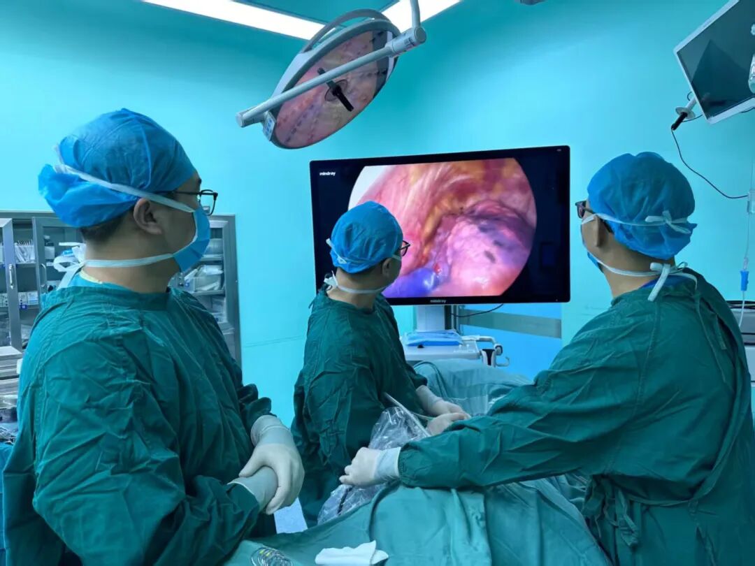 怎么制造手术钩针我院肺小结节“钩针”精准定位切除，让早期肺癌无处可藏！_https://www.jmylbn.com_新闻资讯_第4张