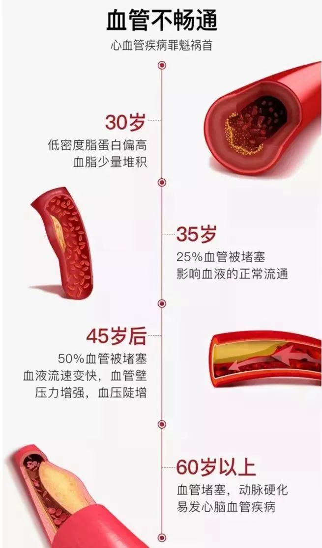 血液瘀堵怎麼辦？每天吃點它，降脂溶栓護血管，太有用了！ 健康 第3張