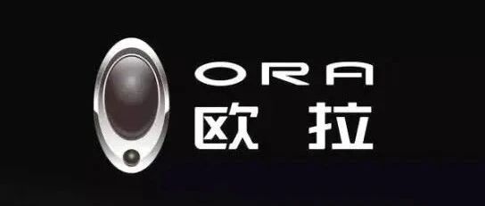 热点 | “全网最大欧拉水军”喊话魏建军：别自毁“长城”！