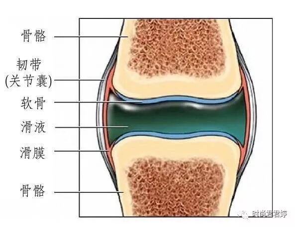 十个膝疼九个滑膜炎，一片生姜这么用，膝盖不疼，连滑膜炎都好了