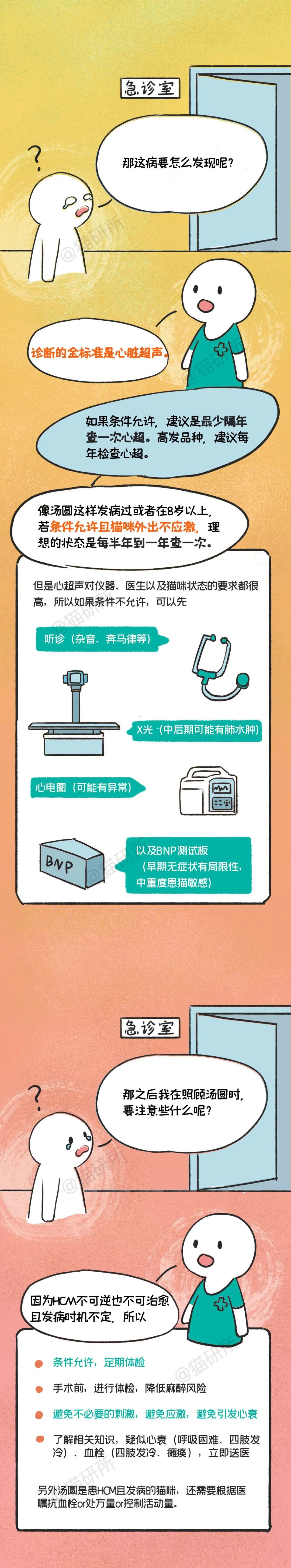 一张图了解猫咪肥厚型心肌病- 猫研所- 微信公众号文章- 微小领