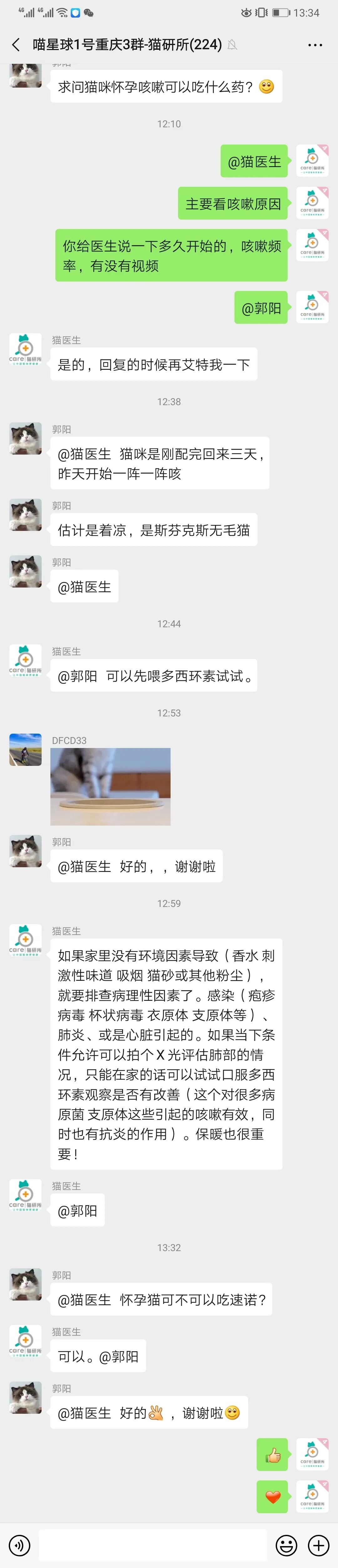 勃起不全は真空を改善します