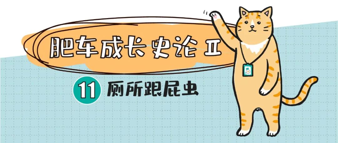 重视！猫耳廓上的小豆豆可能是增生、囊肿或肿瘤 - 猫研所 微信公众 