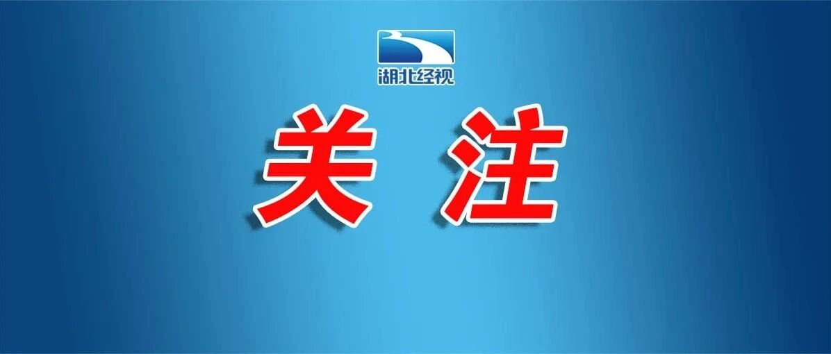 全网沸腾！太提气了！