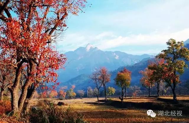 桃花冲地处鄂晥交界处湖北英山县东北角.