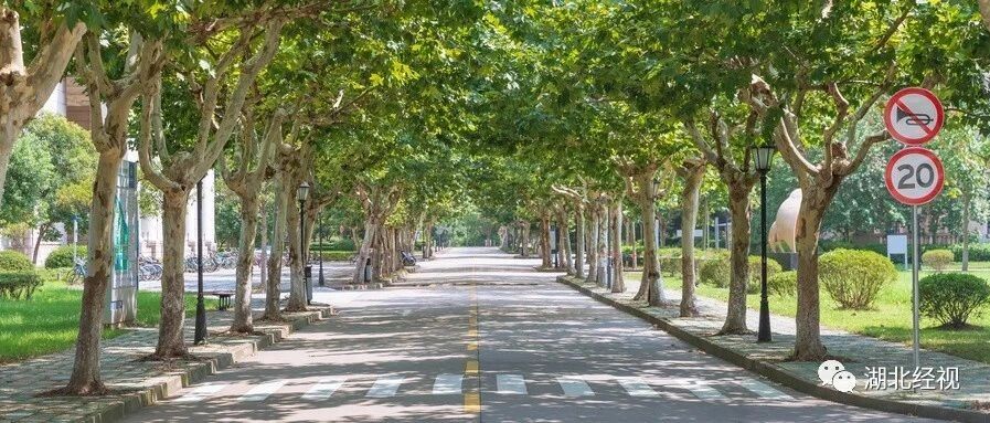 定了！多地明确暑假时间！今天起，湖北初三~高三可免费上名师课！速领！