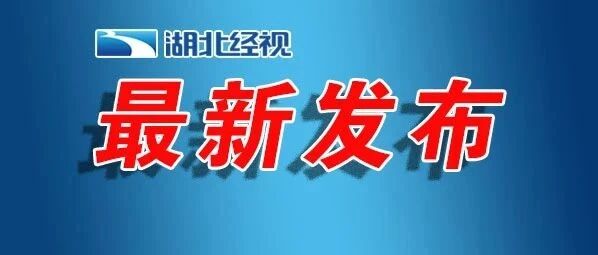 刚刚！2020湖北高考录取分数线出炉！一本理工类521分，文史类531分