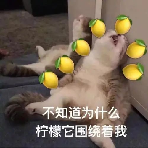 磕到了!细数那些年你没发现的港剧姐弟恋-微信头条网 磕到了!细数那些年你没发现的港剧姐弟恋