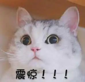 磕到了!细数那些年你没发现的港剧姐弟恋-微信头条网 磕到了!细数那些年你没发现的港剧姐弟恋