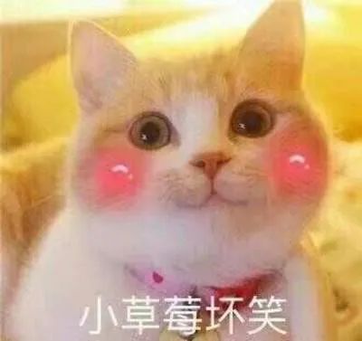 磕到了!细数那些年你没发现的港剧姐弟恋-微信头条网 磕到了!细数那些年你没发现的港剧姐弟恋