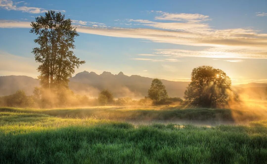 Free Nature Fog photo and picture