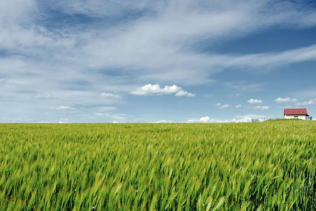 Free Nature Landscape photo and picture