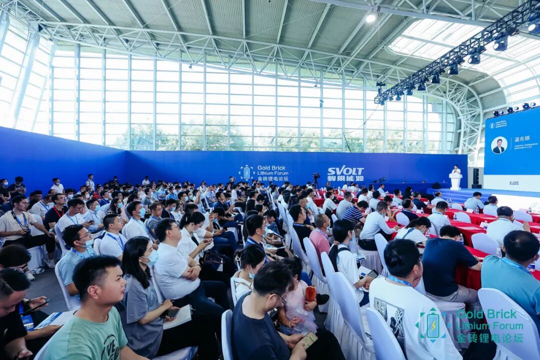 磷酸铁锂电池生产厂家排名_磷酸铁锂电池材料厂家_磷酸铁锂电池生产龙头