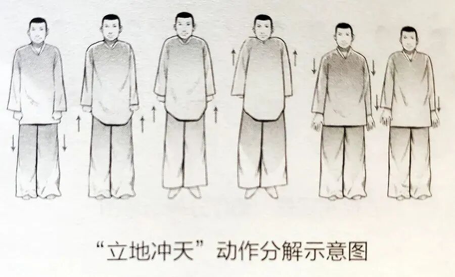 莲花堂_诚忠堂莲花身世_诚忠堂剧情莲花结局