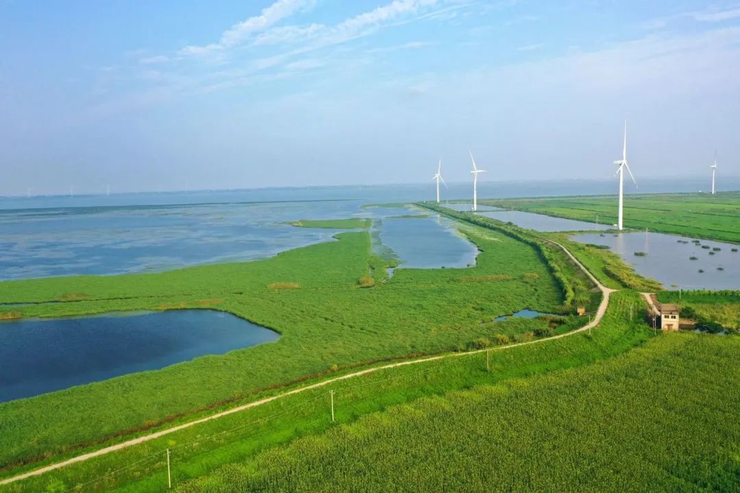 华阳河农场总场图片