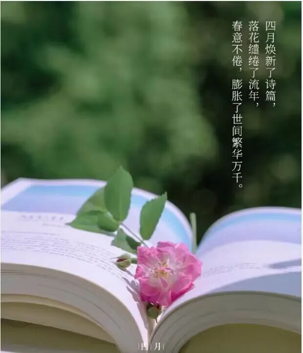 图书馆四月榜单|书中珠玑,玉壶冰心